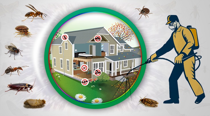 Bayrampaşa Böcek İlaçlama